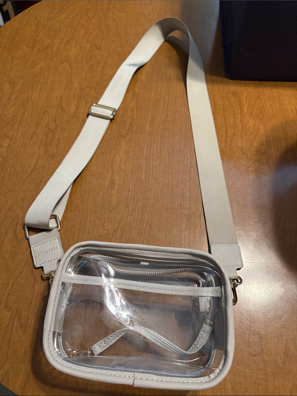 Clear Crossbody Shoulder Bag in Light Gray